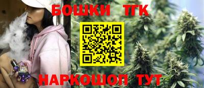 гашик Шелехов