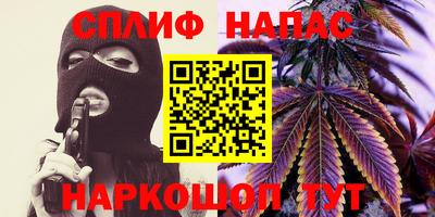 гашик Шелехов