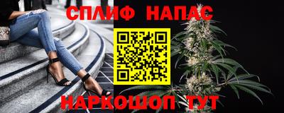 ГАЛЛЮЦИНОГЕННЫЕ ГРИБЫ Шебекино