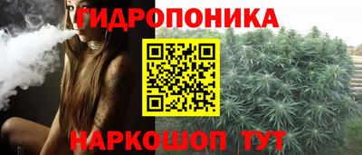 гашик Шелехов
