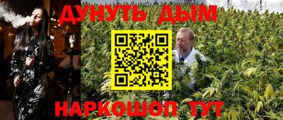 гашик Шелехов