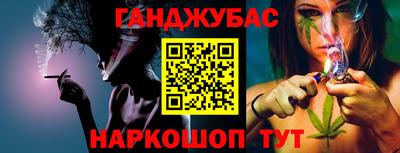 гашик Шелехов