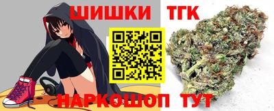 гашик Шелехов